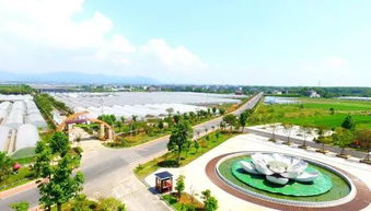 衢州邁入旅游發(fā)展新時代 以全域思維擘畫未來藍圖